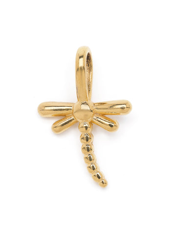 Dragonfly charm