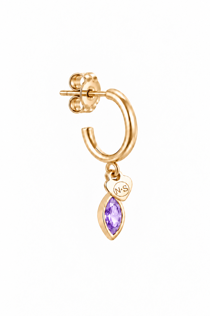 Birthstone oorring februari